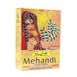 Hesh Mehandi Powder Henna 100g - Hair Care | Desimart