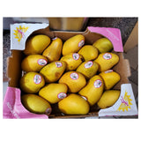 Ataulfo Mangos Best Quality Fresh Mangoes Small Size 18pcs - Fresh Mango | Desimart